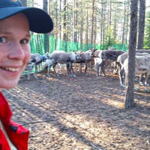 REINDEER HERDER WEEKS ON THE REINDEER FARM