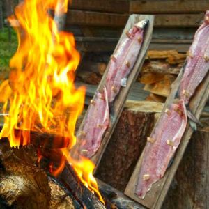 Kotijärven loimusiian valmistusta