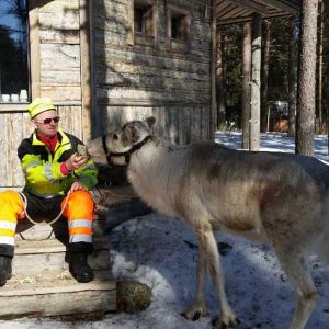 Poroisännän lemmikki